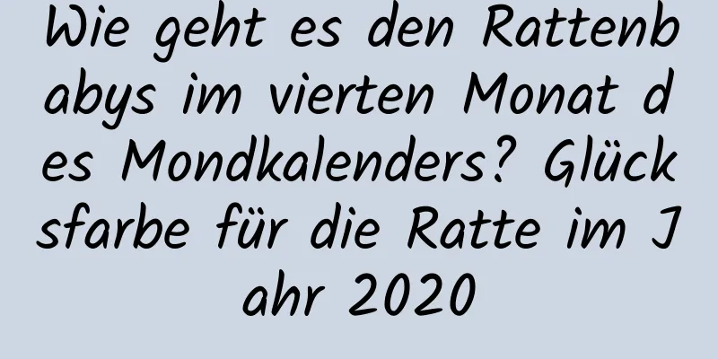 Wie geht es den Rattenbabys im vierten Monat des Mondkalenders? Glücksfarbe für die Ratte im Jahr 2020