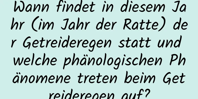 Wann findet in diesem Jahr (im Jahr der Ratte) der Getreideregen statt und welche phänologischen Phänomene treten beim Getreideregen auf?