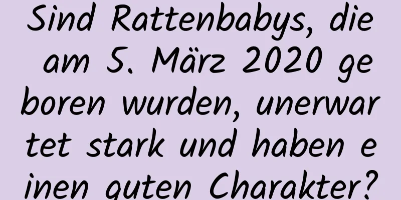 Sind Rattenbabys, die am 5. März 2020 geboren wurden, unerwartet stark und haben einen guten Charakter?