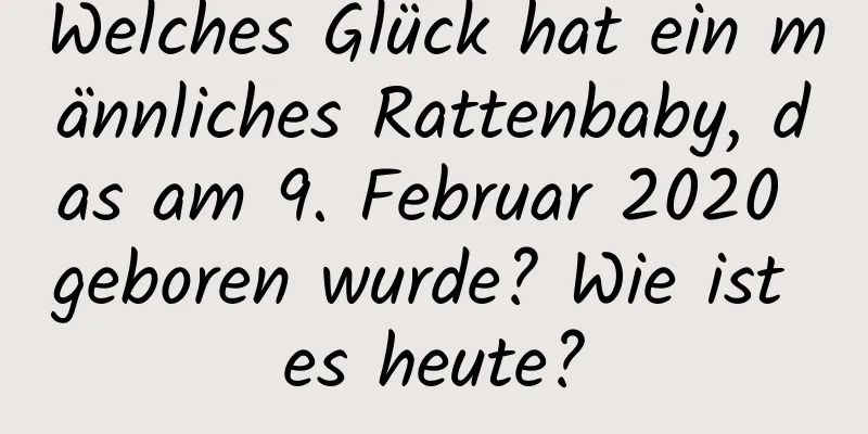 Welches Glück hat ein männliches Rattenbaby, das am 9. Februar 2020 geboren wurde? Wie ist es heute?