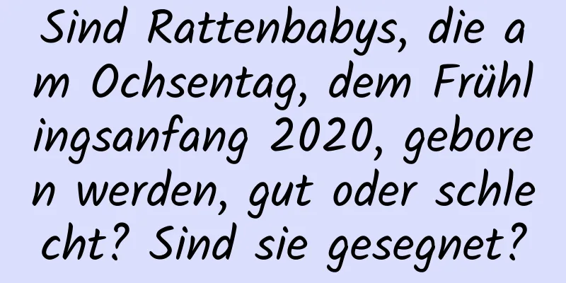 Sind Rattenbabys, die am Ochsentag, dem Frühlingsanfang 2020, geboren werden, gut oder schlecht? Sind sie gesegnet?