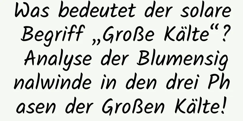 Was bedeutet der solare Begriff „Große Kälte“? Analyse der Blumensignalwinde in den drei Phasen der Großen Kälte!