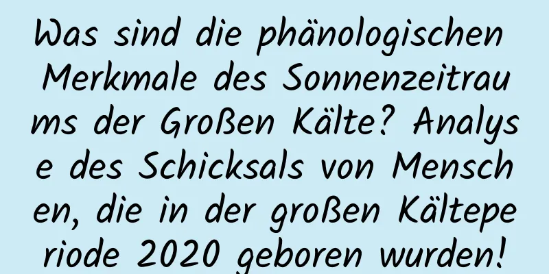 Was sind die phänologischen Merkmale des Sonnenzeitraums der Großen Kälte? Analyse des Schicksals von Menschen, die in der großen Kälteperiode 2020 geboren wurden!