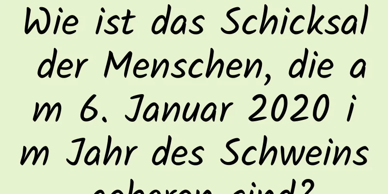 Wie ist das Schicksal der Menschen, die am 6. Januar 2020 im Jahr des Schweins geboren sind?