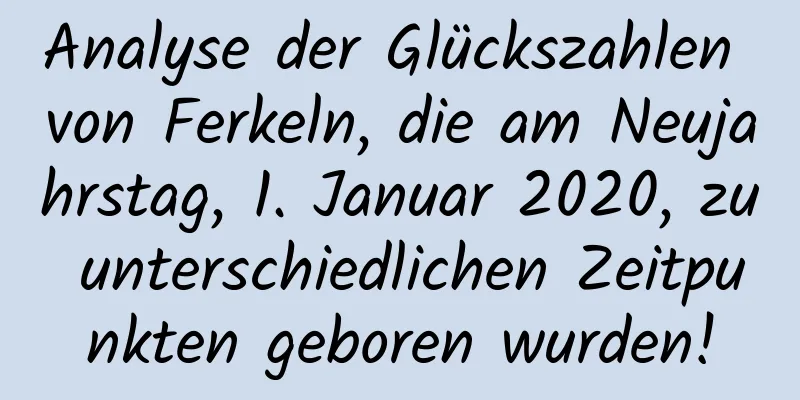 Analyse der Glückszahlen von Ferkeln, die am Neujahrstag, 1. Januar 2020, zu unterschiedlichen Zeitpunkten geboren wurden!