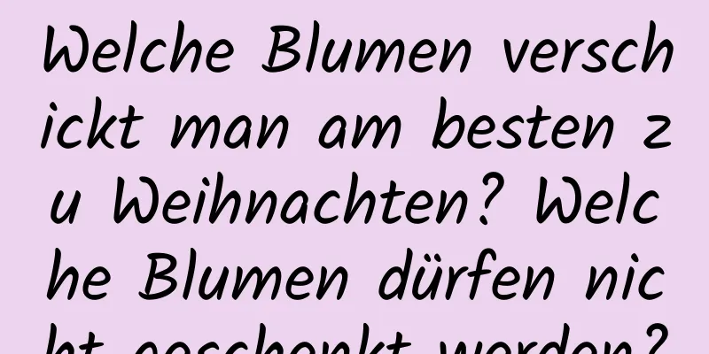 Welche Blumen verschickt man am besten zu Weihnachten? Welche Blumen dürfen nicht geschenkt werden?