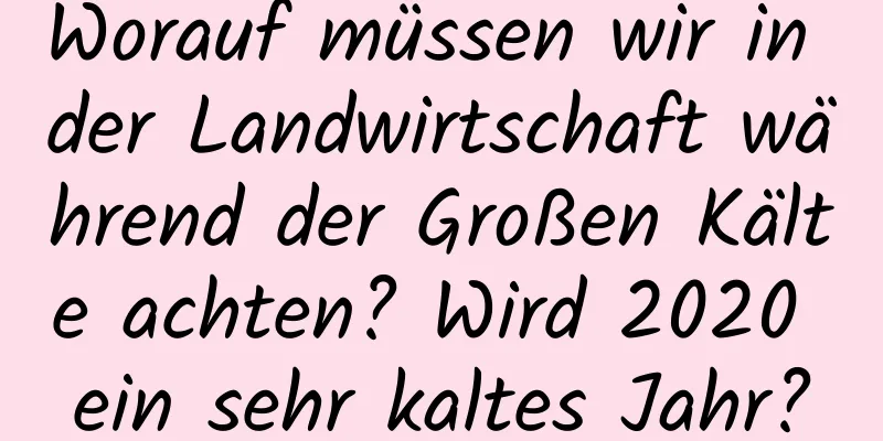 Worauf müssen wir in der Landwirtschaft während der Großen Kälte achten? Wird 2020 ein sehr kaltes Jahr?