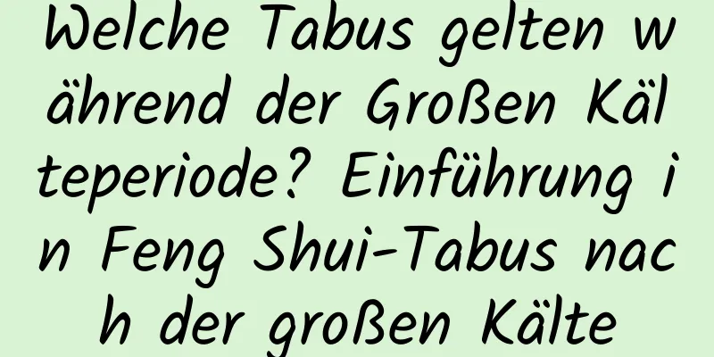 Welche Tabus gelten während der Großen Kälteperiode? Einführung in Feng Shui-Tabus nach der großen Kälte