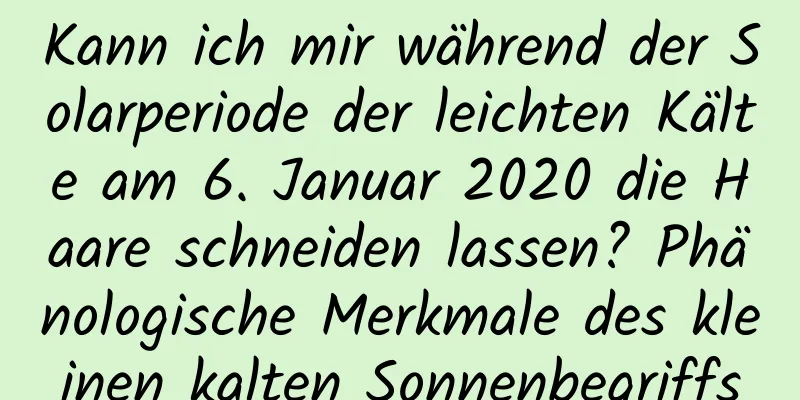 Kann ich mir während der Solarperiode der leichten Kälte am 6. Januar 2020 die Haare schneiden lassen? Phänologische Merkmale des kleinen kalten Sonnenbegriffs