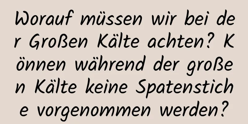 Worauf müssen wir bei der Großen Kälte achten? Können während der großen Kälte keine Spatenstiche vorgenommen werden?