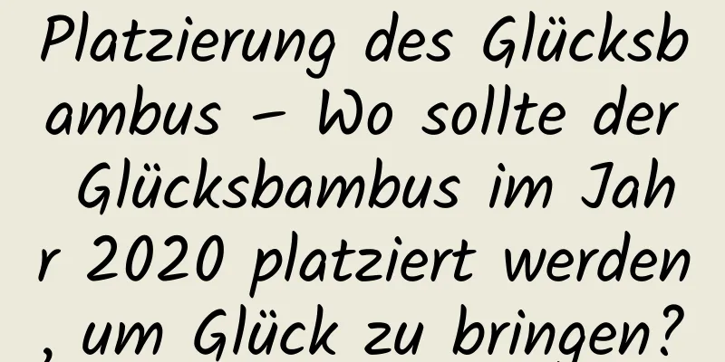 Platzierung des Glücksbambus – Wo sollte der Glücksbambus im Jahr 2020 platziert werden, um Glück zu bringen?