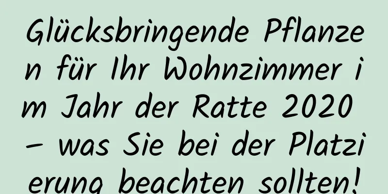 Glücksbringende Pflanzen für Ihr Wohnzimmer im Jahr der Ratte 2020 – was Sie bei der Platzierung beachten sollten!