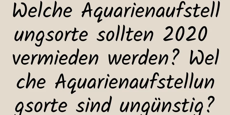 Welche Aquarienaufstellungsorte sollten 2020 vermieden werden? Welche Aquarienaufstellungsorte sind ungünstig?