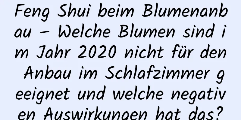 Feng Shui beim Blumenanbau – Welche Blumen sind im Jahr 2020 nicht für den Anbau im Schlafzimmer geeignet und welche negativen Auswirkungen hat das?