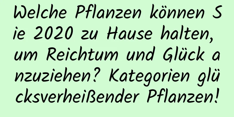 Welche Pflanzen können Sie 2020 zu Hause halten, um Reichtum und Glück anzuziehen? Kategorien glücksverheißender Pflanzen!