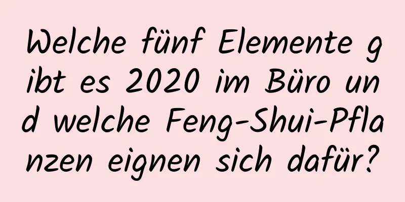 Welche fünf Elemente gibt es 2020 im Büro und welche Feng-Shui-Pflanzen eignen sich dafür?