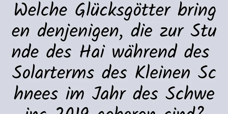 Welche Glücksgötter bringen denjenigen, die zur Stunde des Hai während des Solarterms des Kleinen Schnees im Jahr des Schweins 2019 geboren sind?