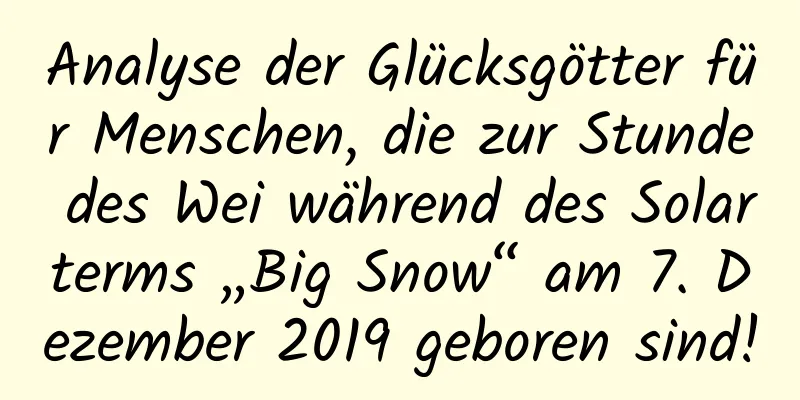 Analyse der Glücksgötter für Menschen, die zur Stunde des Wei während des Solarterms „Big Snow“ am 7. Dezember 2019 geboren sind!