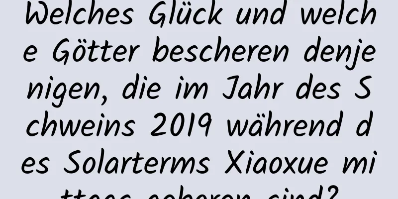 Welches Glück und welche Götter bescheren denjenigen, die im Jahr des Schweins 2019 während des Solarterms Xiaoxue mittags geboren sind?