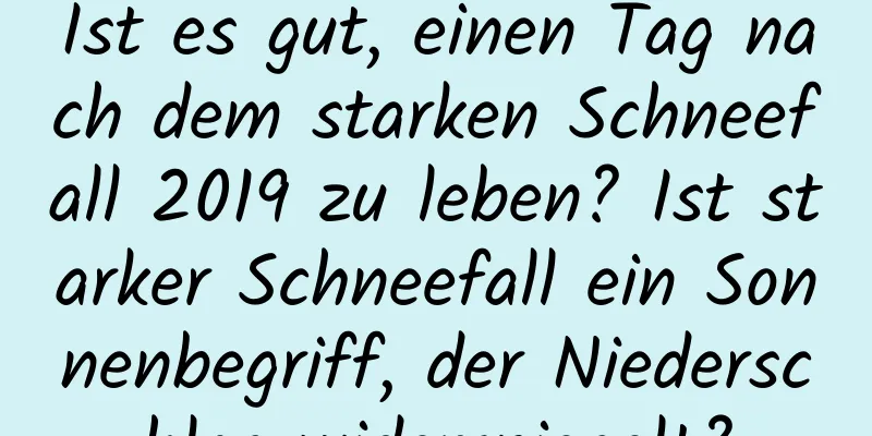 Ist es gut, einen Tag nach dem starken Schneefall 2019 zu leben? Ist starker Schneefall ein Sonnenbegriff, der Niederschlag widerspiegelt?