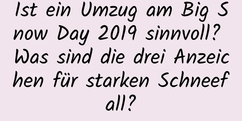 Ist ein Umzug am Big Snow Day 2019 sinnvoll? Was sind die drei Anzeichen für starken Schneefall?