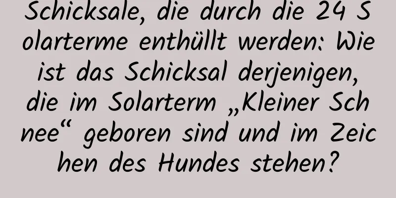 Schicksale, die durch die 24 Solarterme enthüllt werden: Wie ist das Schicksal derjenigen, die im Solarterm „Kleiner Schnee“ geboren sind und im Zeichen des Hundes stehen?