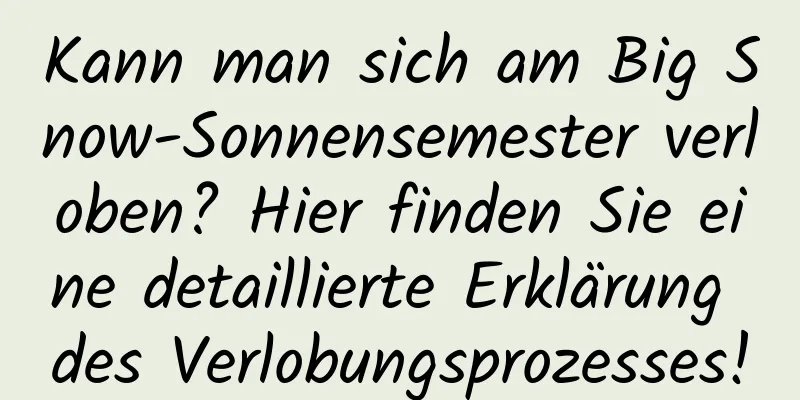 Kann man sich am Big Snow-Sonnensemester verloben? Hier finden Sie eine detaillierte Erklärung des Verlobungsprozesses!