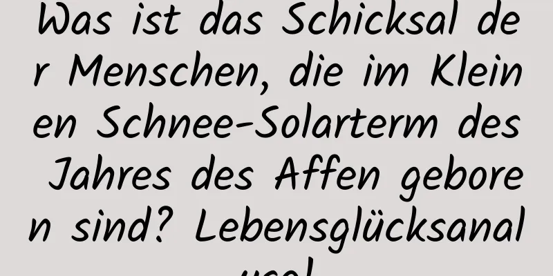 Was ist das Schicksal der Menschen, die im Kleinen Schnee-Solarterm des Jahres des Affen geboren sind? Lebensglücksanalyse!