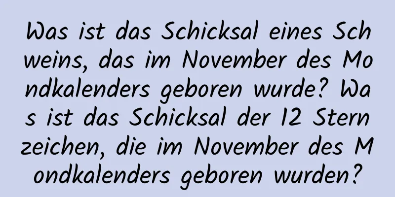 Was ist das Schicksal eines Schweins, das im November des Mondkalenders geboren wurde? Was ist das Schicksal der 12 Sternzeichen, die im November des Mondkalenders geboren wurden?