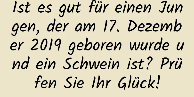 Ist es gut für einen Jungen, der am 17. Dezember 2019 geboren wurde und ein Schwein ist? Prüfen Sie Ihr Glück!