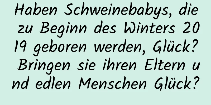 Haben Schweinebabys, die zu Beginn des Winters 2019 geboren werden, Glück? Bringen sie ihren Eltern und edlen Menschen Glück?