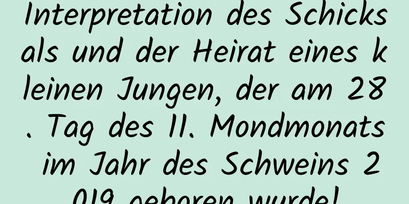 Interpretation des Schicksals und der Heirat eines kleinen Jungen, der am 28. Tag des 11. Mondmonats im Jahr des Schweins 2019 geboren wurde!