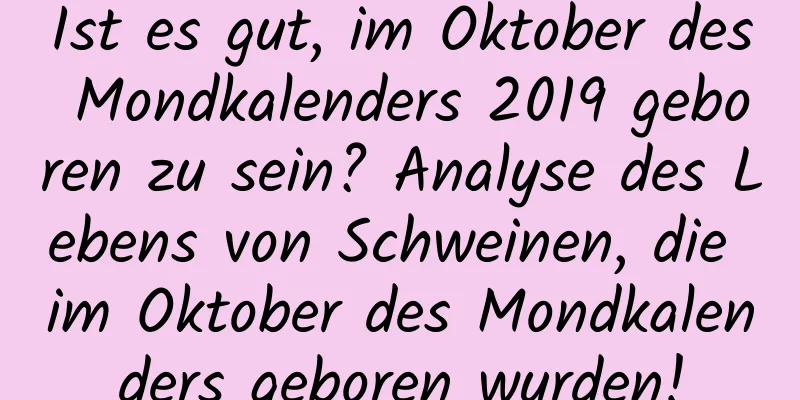 Ist es gut, im Oktober des Mondkalenders 2019 geboren zu sein? Analyse des Lebens von Schweinen, die im Oktober des Mondkalenders geboren wurden!