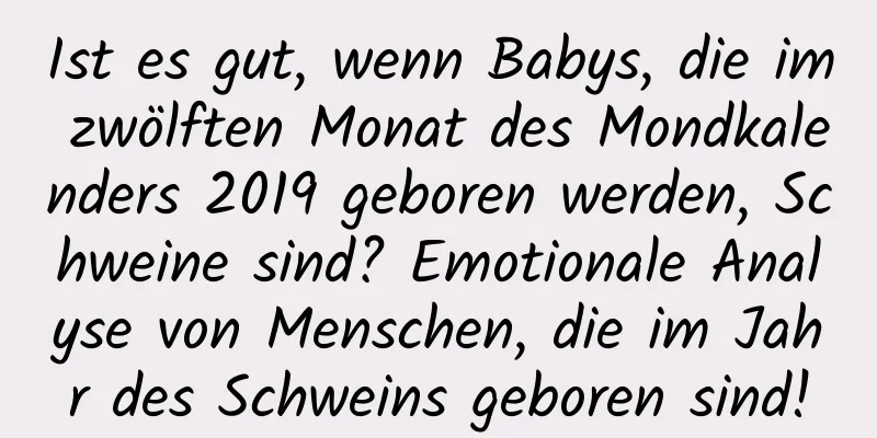 Ist es gut, wenn Babys, die im zwölften Monat des Mondkalenders 2019 geboren werden, Schweine sind? Emotionale Analyse von Menschen, die im Jahr des Schweins geboren sind!