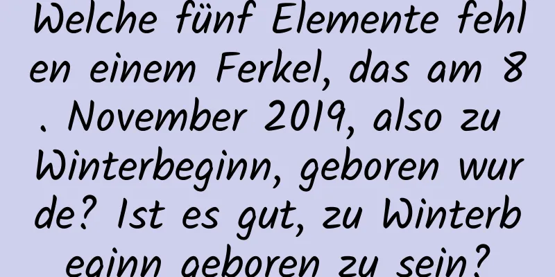 Welche fünf Elemente fehlen einem Ferkel, das am 8. November 2019, also zu Winterbeginn, geboren wurde? Ist es gut, zu Winterbeginn geboren zu sein?