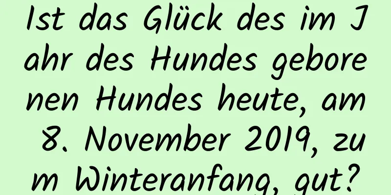 Ist das Glück des im Jahr des Hundes geborenen Hundes heute, am 8. November 2019, zum Winteranfang, gut?