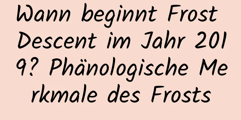 Wann beginnt Frost Descent im Jahr 2019? Phänologische Merkmale des Frosts