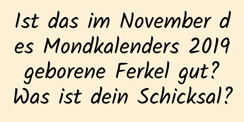 Ist das im November des Mondkalenders 2019 geborene Ferkel gut? Was ist dein Schicksal?