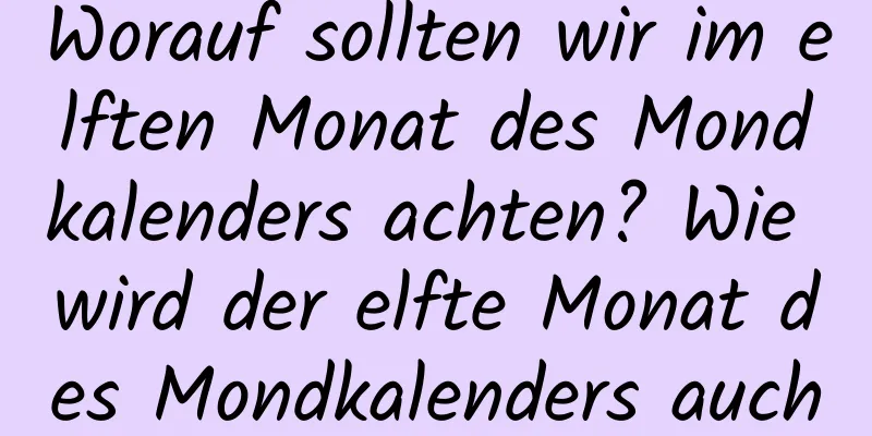 Worauf sollten wir im elften Monat des Mondkalenders achten? Wie wird der elfte Monat des Mondkalenders auch genannt?