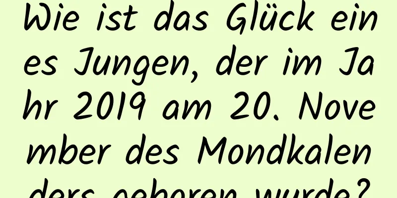 Wie ist das Glück eines Jungen, der im Jahr 2019 am 20. November des Mondkalenders geboren wurde?