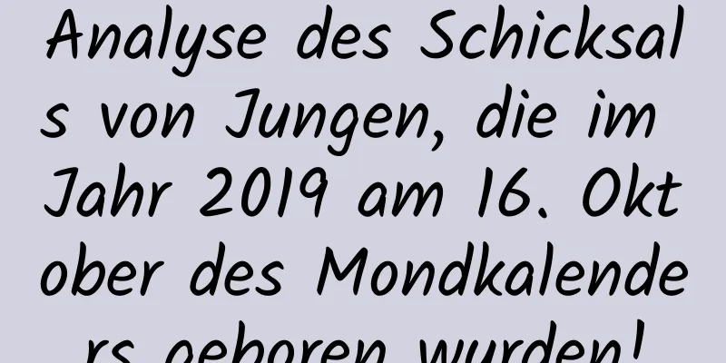 Analyse des Schicksals von Jungen, die im Jahr 2019 am 16. Oktober des Mondkalenders geboren wurden!