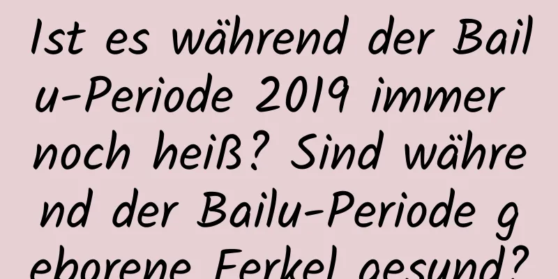 Ist es während der Bailu-Periode 2019 immer noch heiß? Sind während der Bailu-Periode geborene Ferkel gesund?