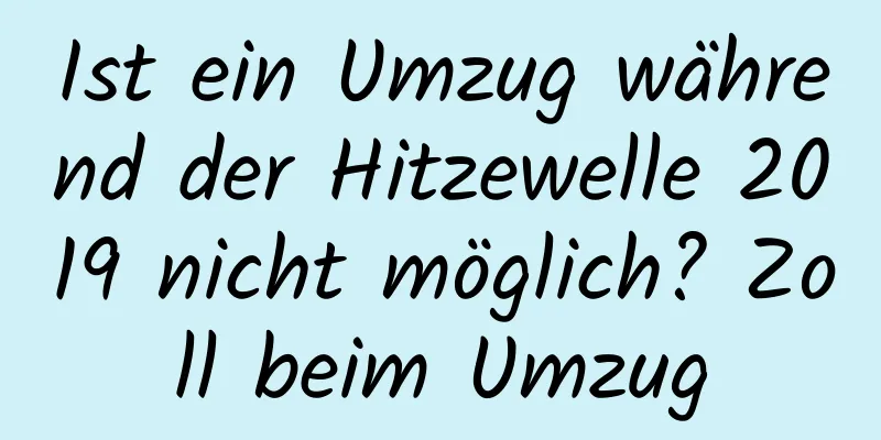 Ist ein Umzug während der Hitzewelle 2019 nicht möglich? Zoll beim Umzug