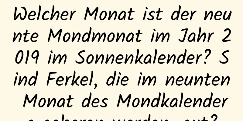 Welcher Monat ist der neunte Mondmonat im Jahr 2019 im Sonnenkalender? Sind Ferkel, die im neunten Monat des Mondkalenders geboren werden, gut?