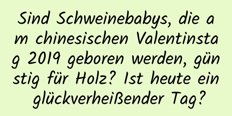 Sind Schweinebabys, die am chinesischen Valentinstag 2019 geboren werden, günstig für Holz? Ist heute ein glückverheißender Tag?