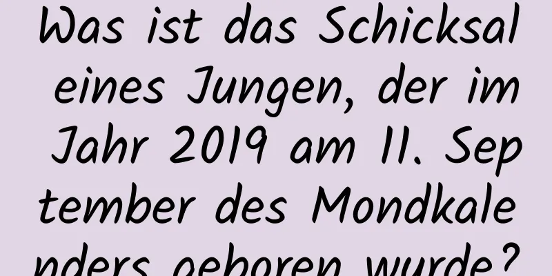 Was ist das Schicksal eines Jungen, der im Jahr 2019 am 11. September des Mondkalenders geboren wurde?