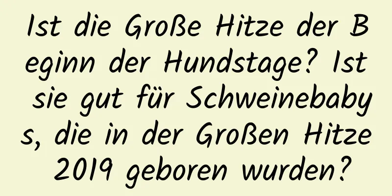 Ist die Große Hitze der Beginn der Hundstage? Ist sie gut für Schweinebabys, die in der Großen Hitze 2019 geboren wurden?