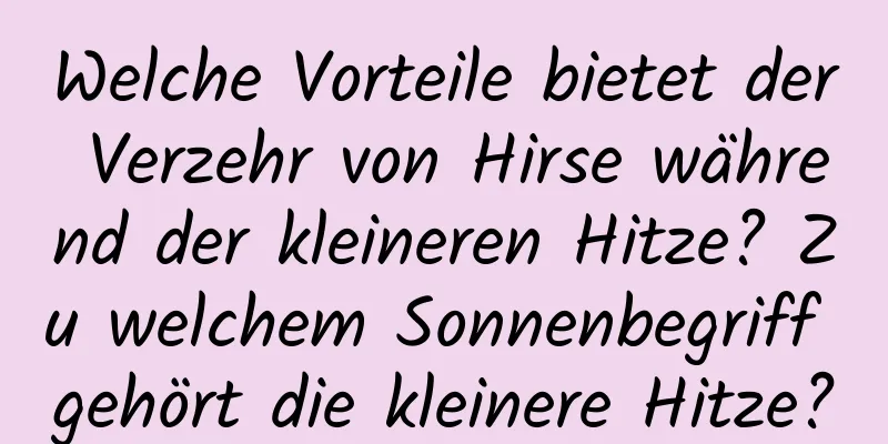 Welche Vorteile bietet der Verzehr von Hirse während der kleineren Hitze? Zu welchem ​​Sonnenbegriff gehört die kleinere Hitze?