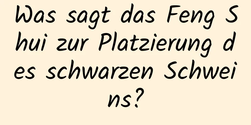 Was sagt das Feng Shui zur Platzierung des schwarzen Schweins?