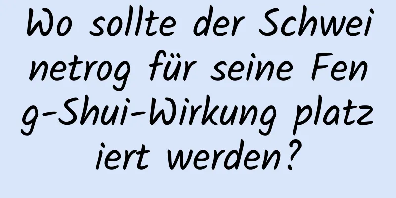 Wo sollte der Schweinetrog für seine Feng-Shui-Wirkung platziert werden?